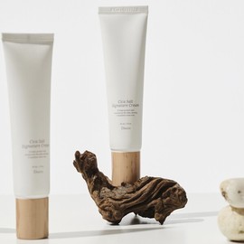 Dewm Cica Salt Signature Cream 100-Hour Moisture Hold Multi-Repair Cream 60ML / 듀엠 시카 솔트 시그니처 크림 100시간 수분홀드 멀티 리페어 크림 60ML