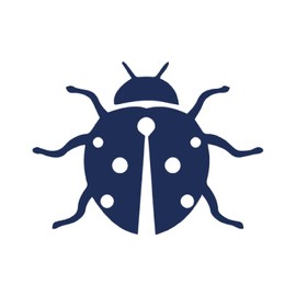 Tattwo.me Temporary Tattoos for Adults and Children 2 Weeks Waterproof - Ladybug - Vegetable Ink - EU Cosmetic Certificate - (P0741)