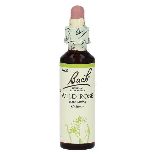 Bachbl�te Wild Rose, 20 ml