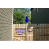 Procured Products, LLC Anti-Climb Fence Spikes, Home Security Burglary Deterrent,