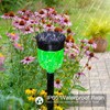 Solar Pathway Lights Waterproof Colorful Lighting Auto On Off Solar