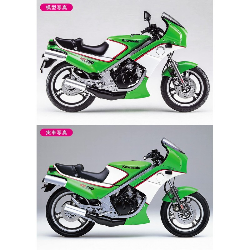 Hasegawa BK12 1/12 Motorcycle Series Kawasaki KR250 (KR250A) Plastic Model