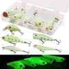 Luminous Fishing Lure Bait Set- 5Pcs Hard Lure Minnow Crankbait
