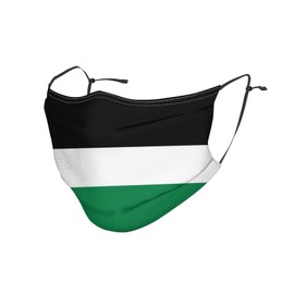 WHJWZY Adult Dust Mask 1 - Soft, Breathable, and Adjustable for Running, and Daily Use Flag of the State of Palestine Pattern