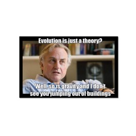 Unbranded Evolution is Just a Theory? Refrigerator Magnet - [3'' x 2'']