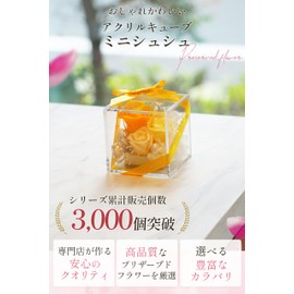 IPFA Preserved Flower Mini Scrunchie Acrylic Box (Pink), Rose, Present, Celebration (Birthday, Wedding Gift, Retirement Gift, 60th Birthday), Flower Gift, Acrylic Cube