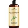 Handcraft Blends Eucalyptus Essential Oil - Huge 16 Fl Oz
