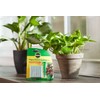 Miracle-Gro Indoor Plant Food Spikes, 1.1-Ounce (4 Pack) (4)