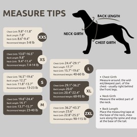 Queenmore Medium Dog Sweater, Soft Fleece Vest Pullover Dog Jacket with Leash Hole, Warm Winter Dog Clothes Cold Weather Doggy Dachshund Sweaters for Medium Dogs Cats Boy or Girl (Blue,M)