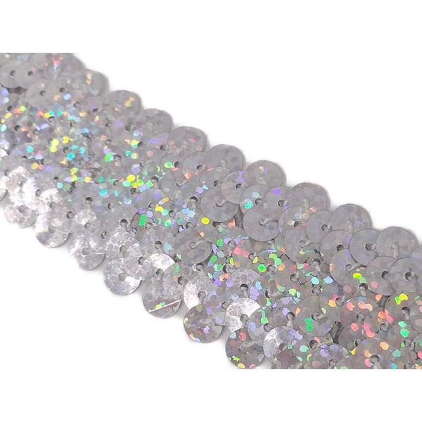 Kirari Handicraft Club No. 5073 Sequin Blade for Handicrafts (with