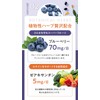 高濃度 ルテイン100mg ブルーベリー70mg ゼアキサンチン5mg 60粒 メグスリノキ アスタキサンチン ビルベリー アサイー ビタミンA配合