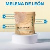 Extracto Hongo Melena De León Orgánico Polvo 100g Adaptogeno Sabor