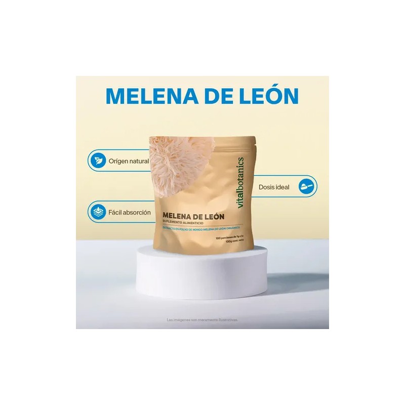 Extracto Hongo Melena De León Orgánico Polvo 100g Adaptogeno Sabor