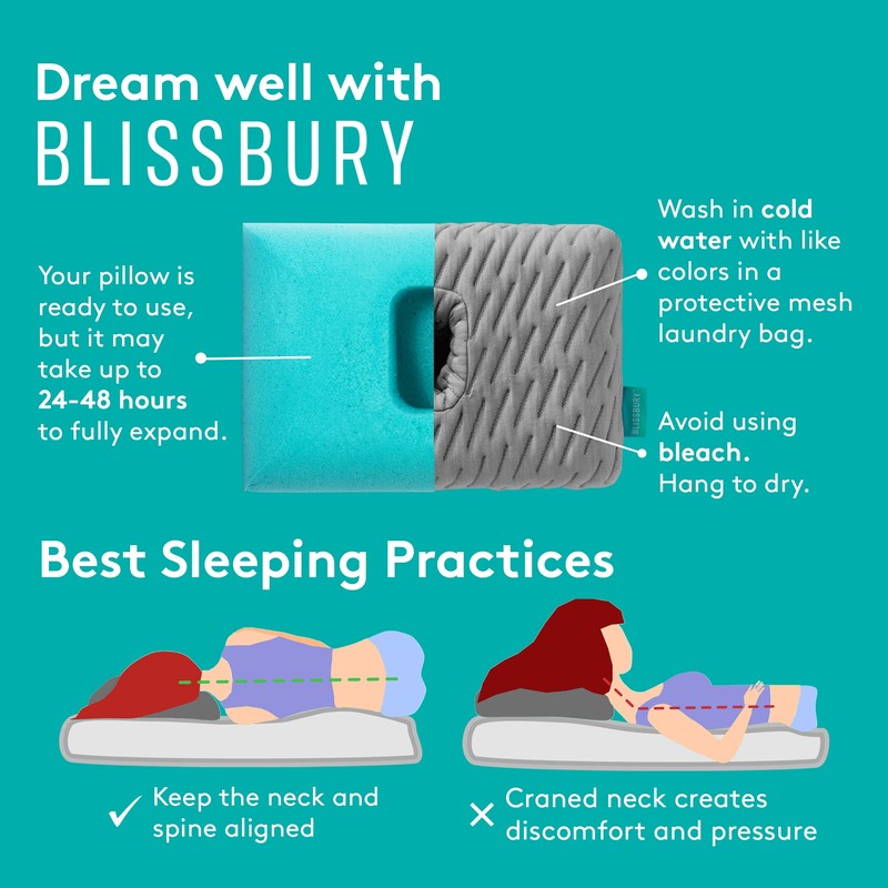 BLISSBURY Mini Ear Pillow (White)