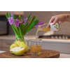 Pomona Organic Pear Juice, Cold Pressed USDA Organic Juices, Pears