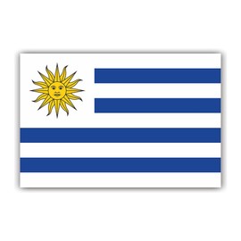 Womaha 30 Sheets Uruguay Flag Temporary Tattoos World Cup European Cup Asian Cup African Cup Football Face Fattoo for Adults and Kids…