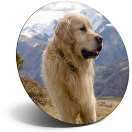Destination Vinyl ltd Magnet for Refrigerator, Fridge - Cute Pyrenees Mountain Dog for Office, Cabinet and Whiteboard, Magnetic Stickers, 3592