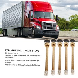 20 Pcs 5in Truck Tire Valve Stems, Straight Truck Valve Stems, Metal Valve Stems for Fast Tire Maintenance in Various Environments