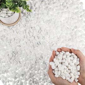 MiniInflat 13.2 lb Succulent and Cactus Gravel Pebbles 1/2" Mini White Rocks Stone Decorative Pebbles Vase Fillers White Natural Decorative Polished Stones River Rocks for Plants Vases Aquariums