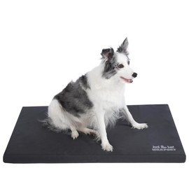 Warfort Durable Outdoor Dog Bed Chew Proof, Indoor cat Bed Anti Mild Bite Crate Mat, Stable Kennel Pad with Removable Fully Waterproof Cover (Charcoal, X-Large(42x28x2in))