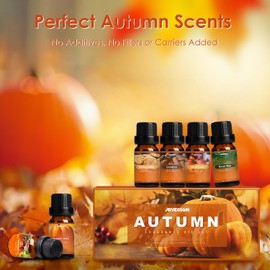 Autumn Fragrance Oil Set, Premium Fall Essential Oils for Diffuser and Candle Making -Cinnamon, Spiced Cider, Snickerdoodle, Autumn Wreath, Forest Pine, Pumpkin Spice, Holiday Scented Oils