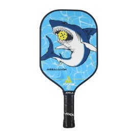JOOLA Pickleball Paddle – Reinforced Fiberglass Surface, Honeycomb Polypro