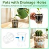 Clear Nursery Pots with Drainage 3.5 Inch: 100 Pack See