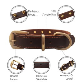 Qianruida Studded Collars for Dogs and Cats, Dog Collar Bite Resistant with Spiked Rivets Dog Collar, Studded, Brown, Adjustable Individuality Boxer Bulldog Collar for Small - XS
