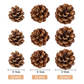 36 x Christmas Pine Cones Natural with 3 Sizes, Pine Cones Hanging Ornaments 3 cm to 6 cm Pine Cones Natural Christmas Decoration for Hanging Home Christmas Tree Winter Decoration