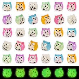 FEXIA 30pcs Mini Resin Owls Collection Mini Resin Animals to Hide Tiny Glow in The Dark Figures for Aquariums Dollhouses Fairy Garden Accessories