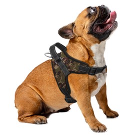 MASCRETTA ArnésPechera para Perro. No Daña el Cuello de tu Mascota. Excelente para Pasear. Collar Deportivo con Bandas de Luz Reflejantes para...     