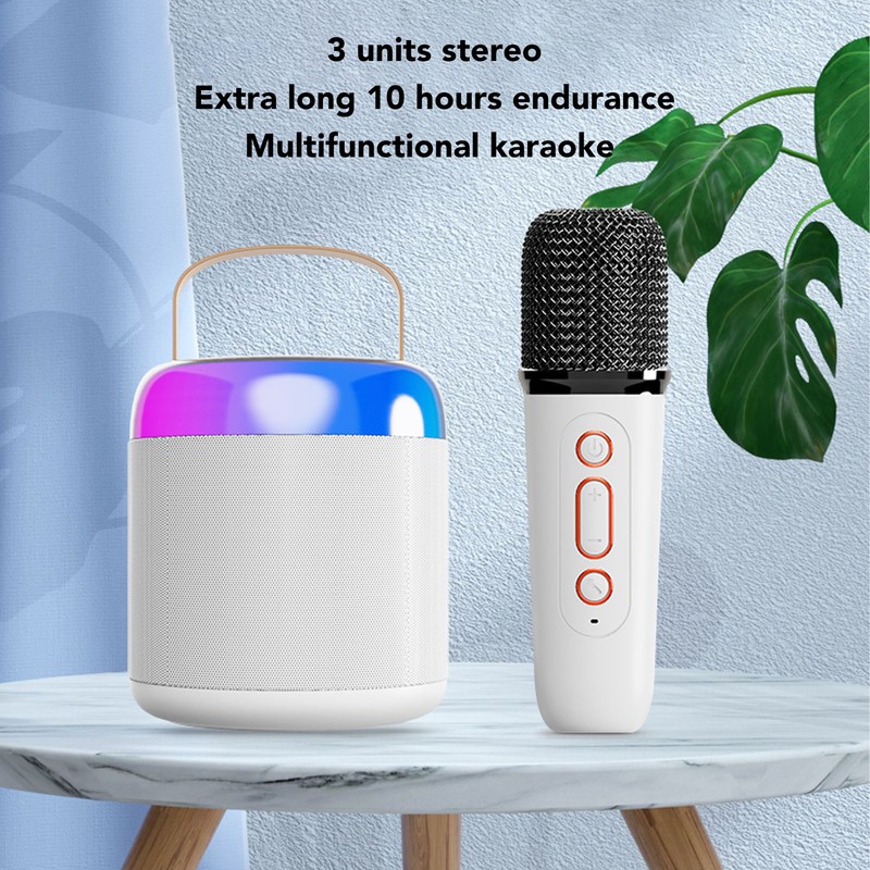 Wireless Karaoke Speakers RGB Light Bluetooth5.3 Speaker with 2 Wireless