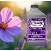 Seedlingers Flower Food Pint Concentrate