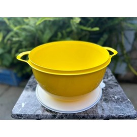 Tupperware Thatsa Bowl 42 Cup/10 Lts  yellow color white seal with Bee image New