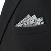 SHLAX&WING Men's Silver Black Paisley Silk Pocket Square, 12.6 x