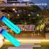 2 Pack FUL15W BL (BF-35) Fluorescent Black Light Bulb Replacement