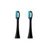 Panasonic EW0917-K Doltz Extra Fine Bristle Brush, Large, 2-Piece Set,