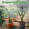 Gavinjitao Metal Dragon Fruit Trellis，Adjustable Dragon Fruit Plant Trellis for