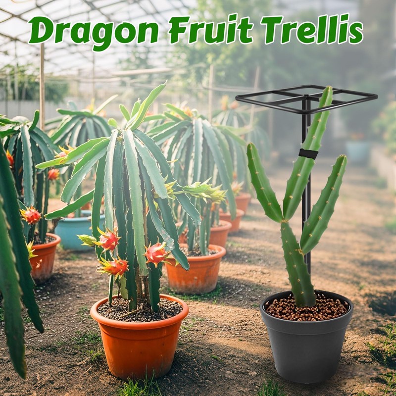 Gavinjitao Metal Dragon Fruit Trellis，Adjustable Dragon Fruit Plant Trellis for