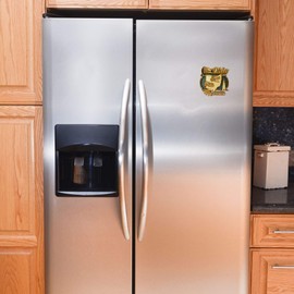 Ohio Magnet The Buckeye State, Wood Carved, Souvenir Magnets for Fridge, 3 Inches