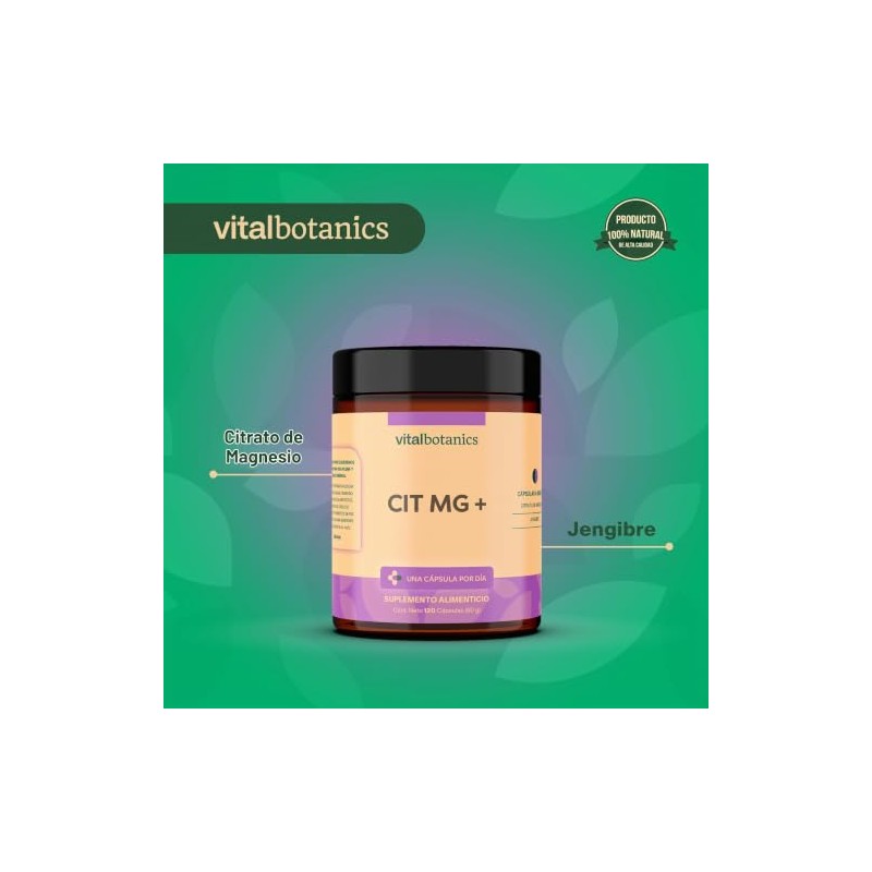 Citrato de Magnesio + Jengibre. Con 120 cápsulas de 500mg