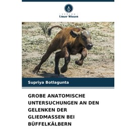 GROBE ANATOMISCHE UNTERSUCHUNGEN AN DEN GELENKEN DER GLIEDMASSEN BEI BÜFFELKÄLBERN