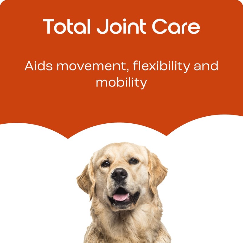 puptons Joint Care Powder for Dogs | Reduce Stiffness &