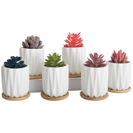 ARTKETTY Succulent Pots - 3.15 Inch White Small Plant Pots with Drainage Tray Ceramic Pots for Indoor Plants, Pack of 6 - Cactus Flower Pots Birthday Gifts for Women