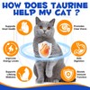Taurine Powder for Cats, Cat Supplement for Heart, Vision, and