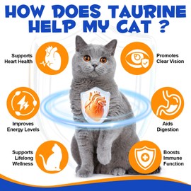 Taurine Powder for Cats, Cat Supplement for Heart, Vision, and Immune Support, Suitable for All Breeds & Ages, 200g
