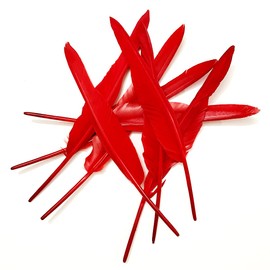 Red Long Feathers 10-12 inch,30PCS Natural Goose Feather,Bulk Left and Right Wing Feathers for Crafts,Party Decoration,DIY Fabricating Handicraft Article (Red)