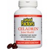 Natural Factors, Celadrin Joint Health, Promotes Flexibility, Mobility and Joint