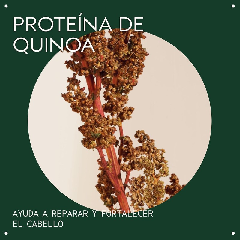 Aveda Damage Remedy Restructuring Acondicionador Suaviza y Fortalece