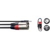 Y Cable 3.5 mm Mini Jack/XLR (M/M 1 m